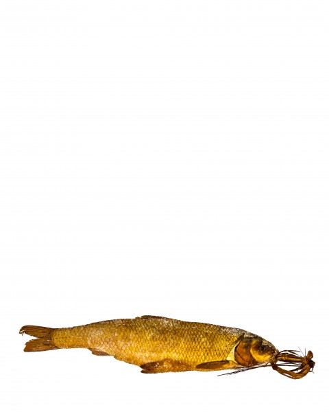 ماهی تون در روغن زیتون